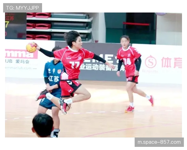 北京市丰台区青少年手球城市邀请赛圆满落幕,200余名小球员参赛 北京市丰台区青少年手球城市邀请赛圆满落幕,200余名小球员参赛